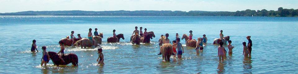 Kinder und Ponys baden im Wittensee